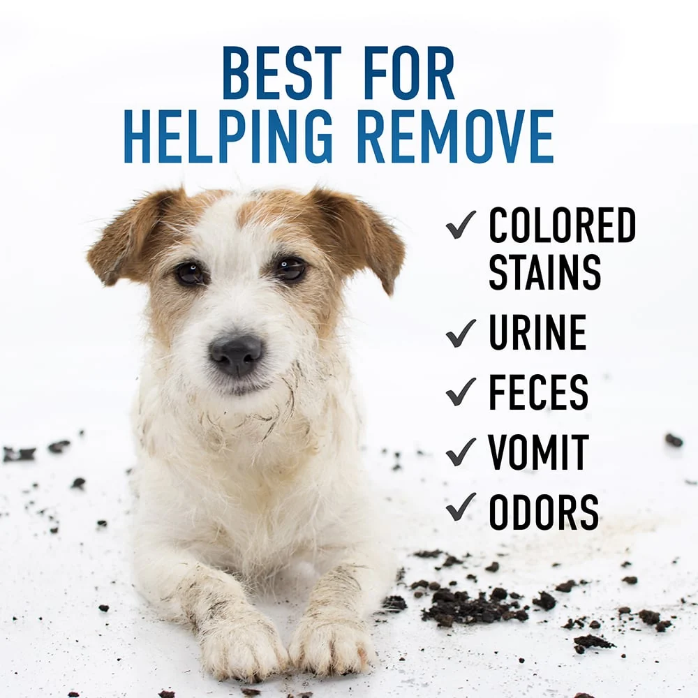 32 oz. Oxy Pet Pre-Mixed Carpet Cleaning Formula - Image 5